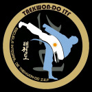 gallery/escuela integral de taekwondo zef